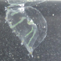 P1050230