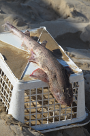 DSC 2885 1305885737 1