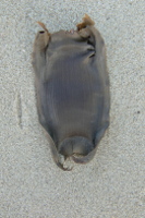 P1040847 638328029 0